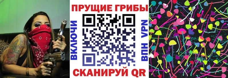 Галлюциногенные грибы Cubensis  где найти   blacksprut рабочий сайт  Мичуринск 