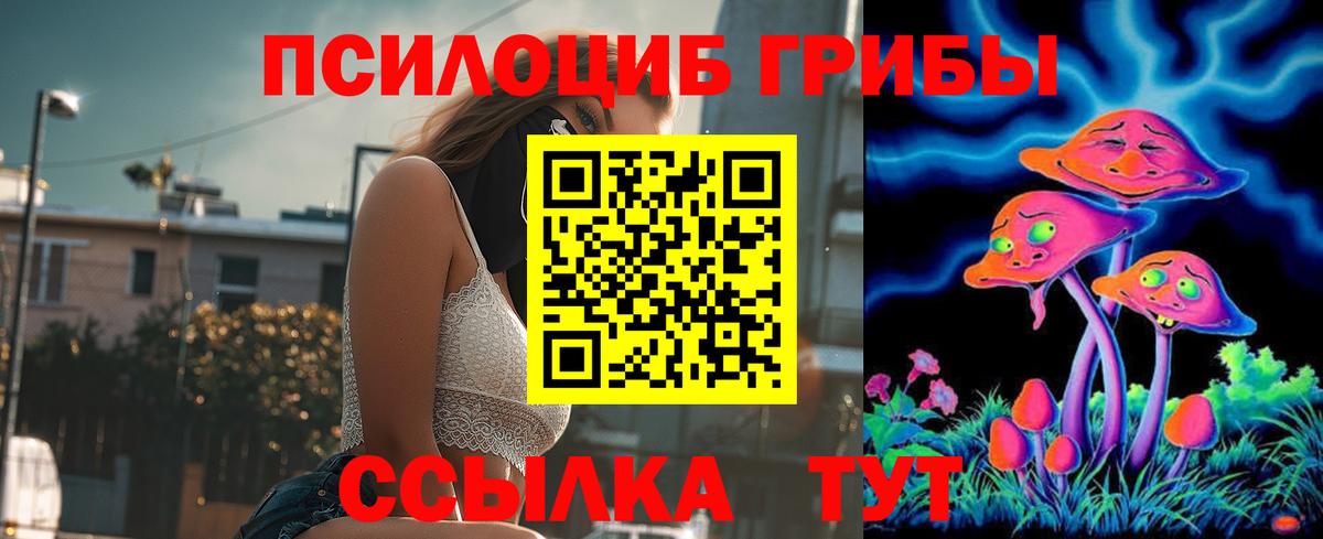 Псилоцибиновые грибы прущие грибы Мичуринск
